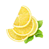 Limón
